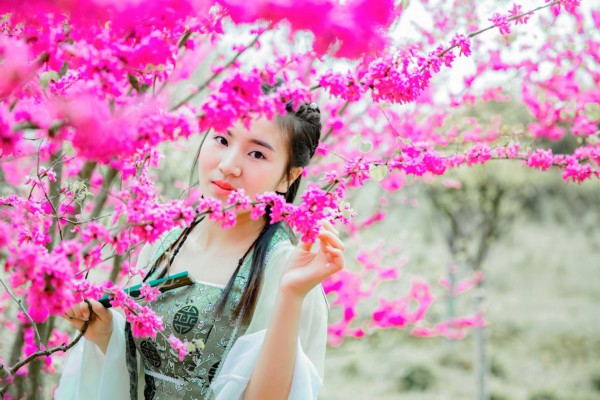 武汉精油按摩，养生又实惠，价格亲民！